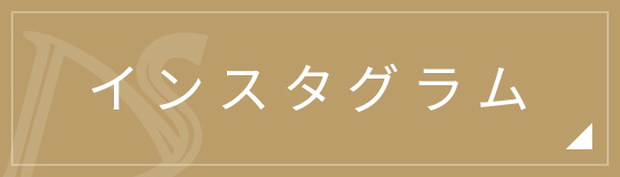 インスタグラム