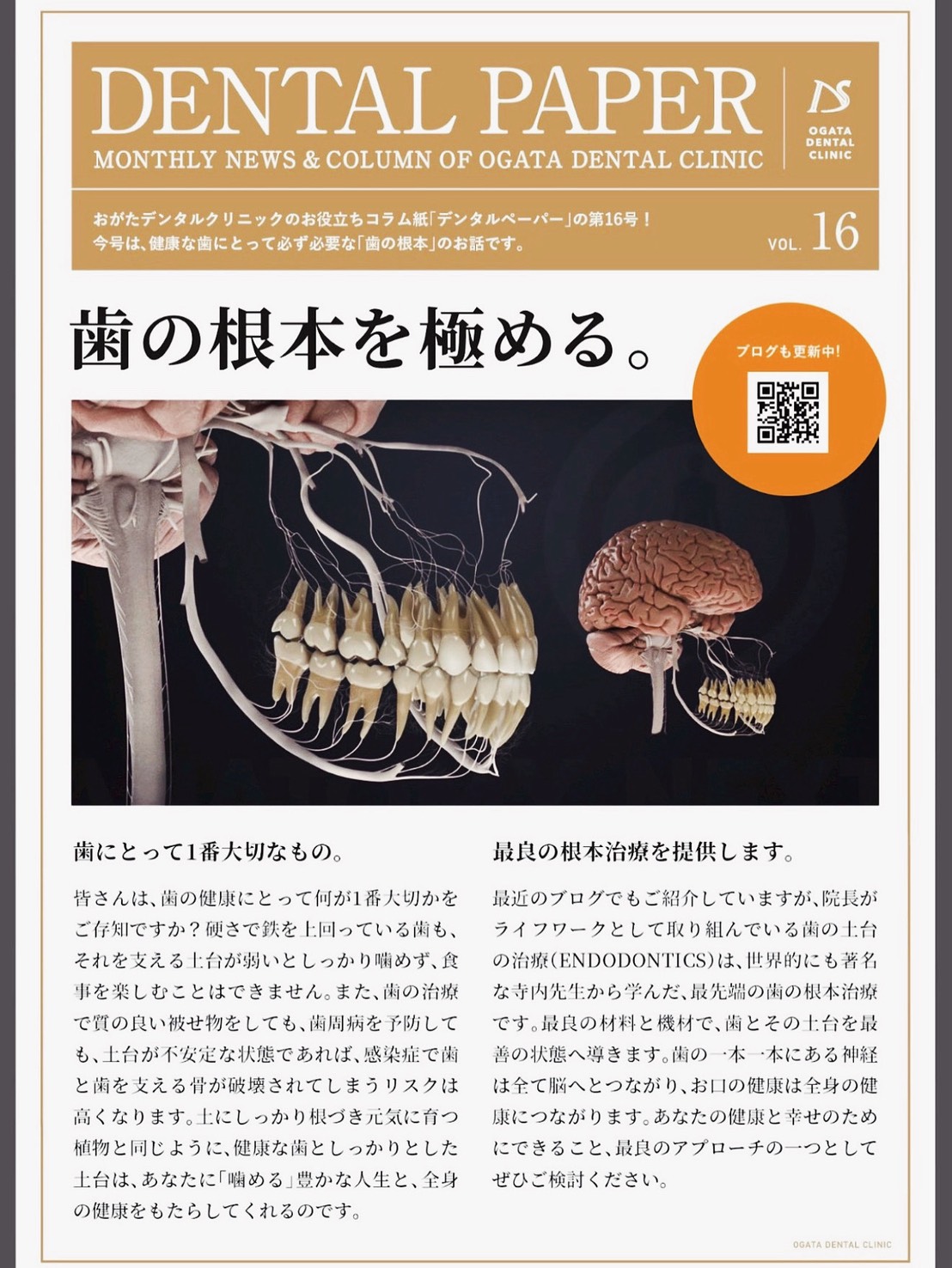 歯の根本を極める